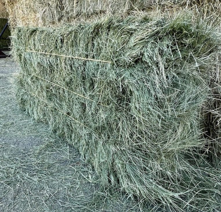 Farm To Stable Hay - High Quality Great Prices